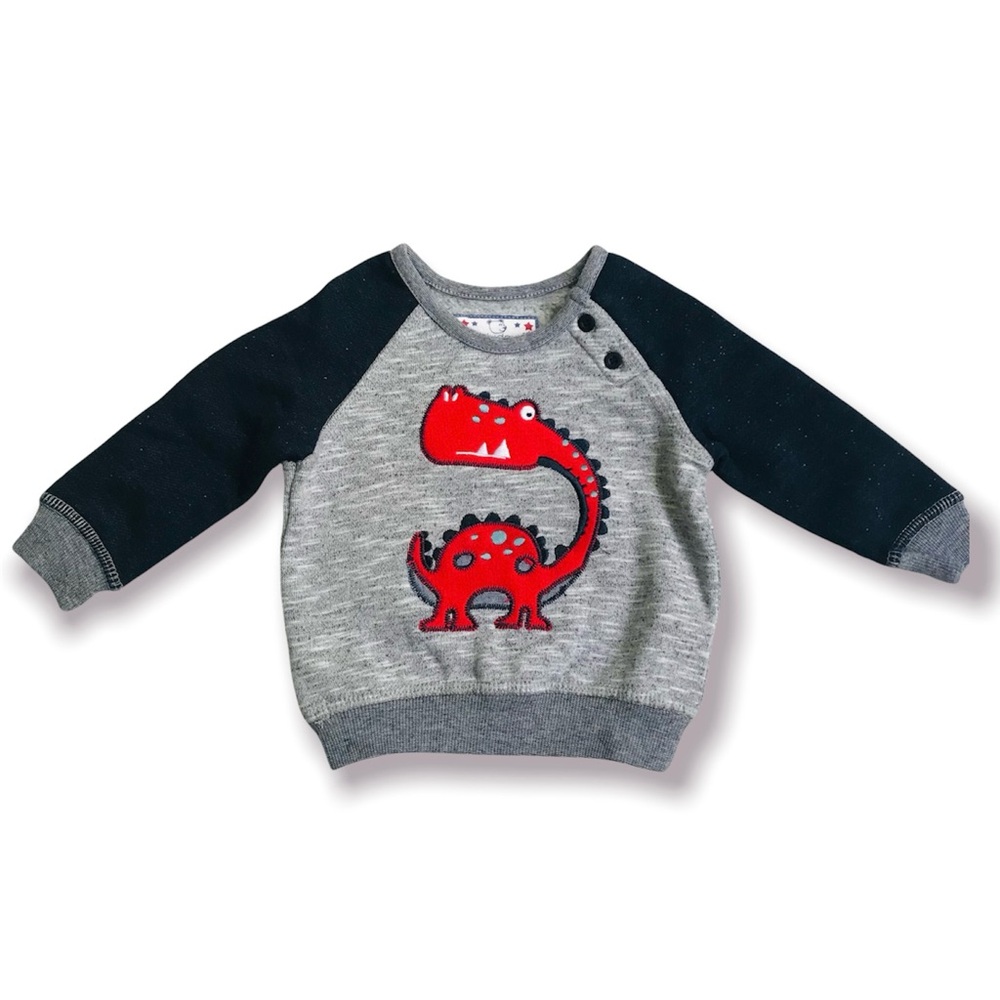 Early Days Dinosaur 🦕 Sweatshirt Size 6-9 Months